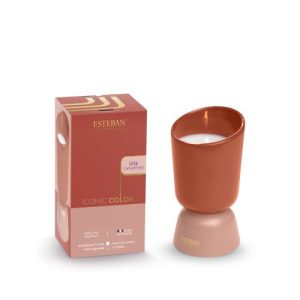 Iconic candela profumata Iris Cashmere 220gr