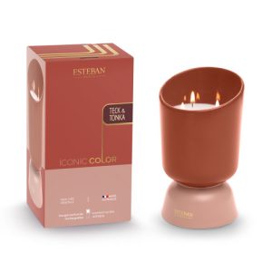 Iconic candela profumata Teck Tonka 700gr